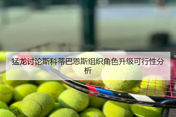 猛龙讨论斯科蒂巴恩斯组织角色升级可行性分析