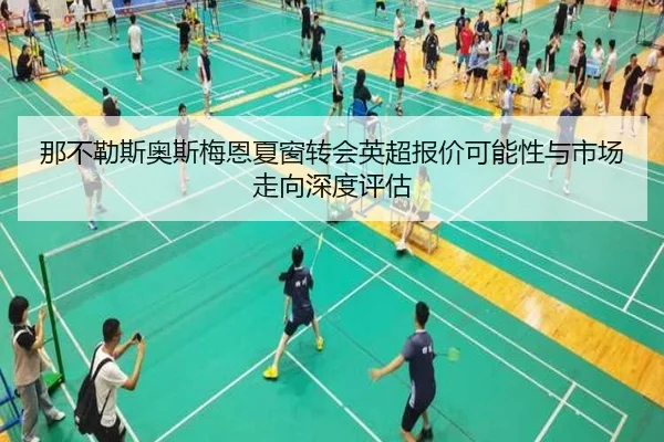 那不勒斯奥斯梅恩夏窗转会英超报价可能性与市场走向深度评估